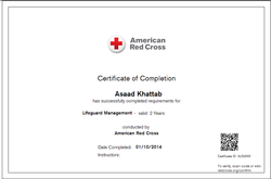 Lifeguard Certificate